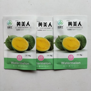 黄美人黄肉西瓜种子超甜礼品黄瓤小西瓜种籽春夏季早熟农家水果孑