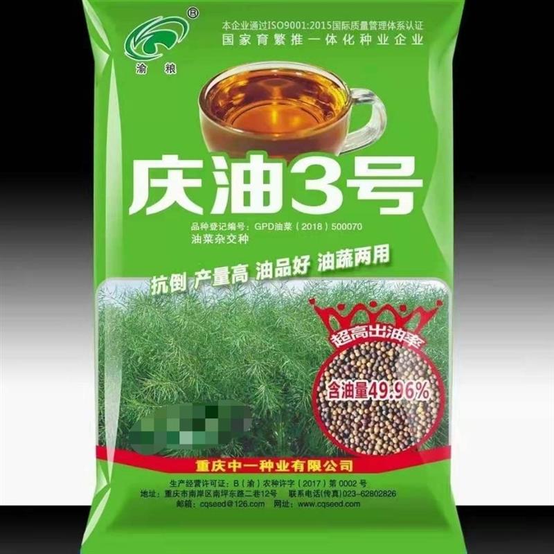 庆油3号8号油菜种子三抗病超抗倒伏大花籽高出油高产重庆农科院
