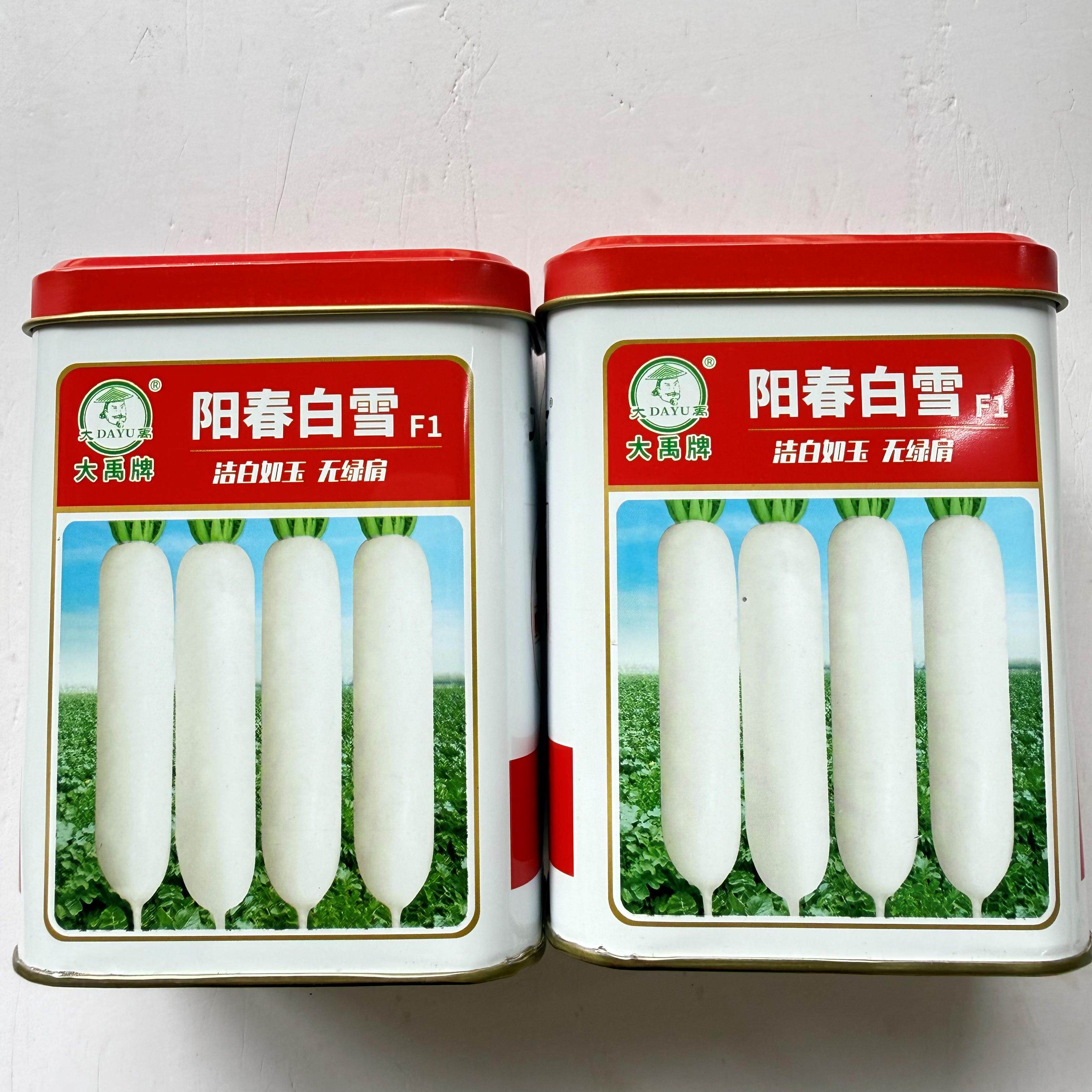 阳春白雪白萝卜种子无绿