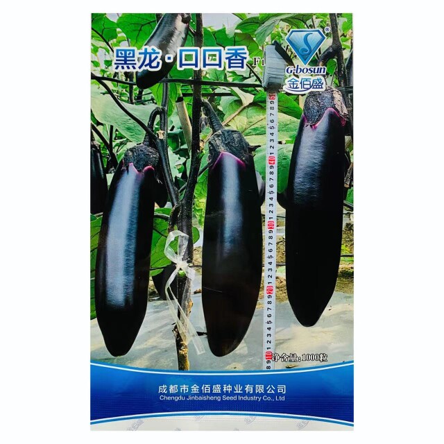金佰盛黑龙口口香茄子种子春秋大棚均可播种茄果粗棒型 基地种植