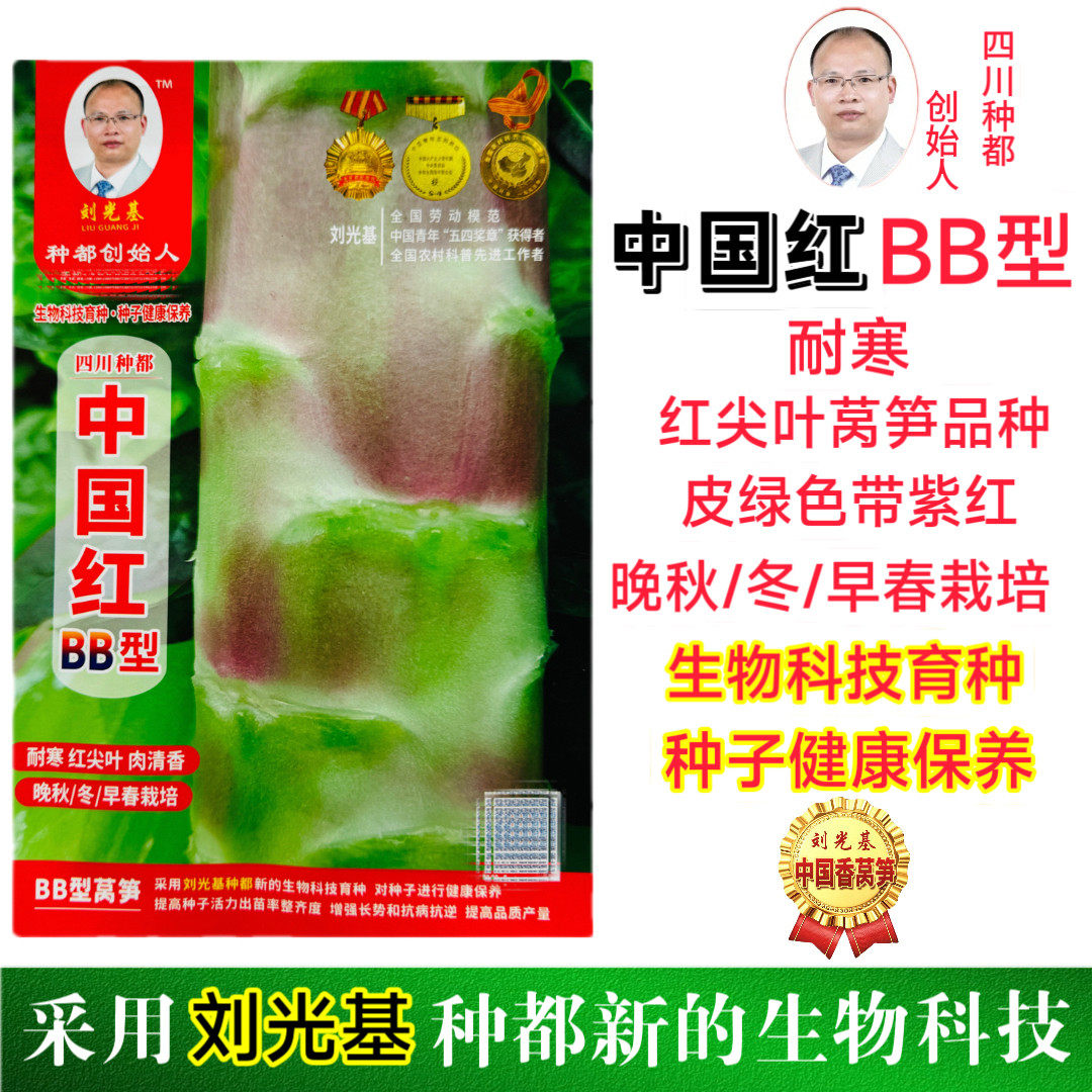种都中国红BB型莴笋种子