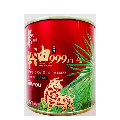 华油999油菜种子早熟大籽粒榨油观赏食用油菜种籽抗病高产秋季播