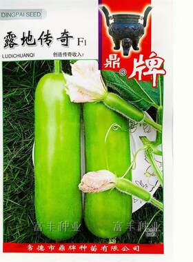 鼎牌 露地传奇瓠瓜种子  早熟 耐高温中棒形浦瓜种籽基地大户专用