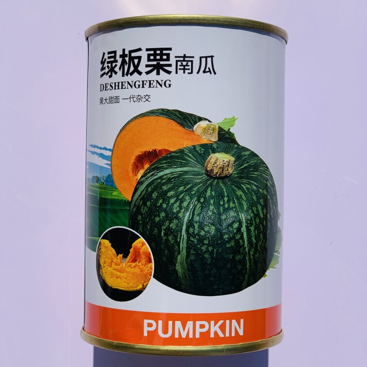 绿板栗南瓜种子早熟扁圆形贝贝南瓜肉橘黄甘甜面春秋露地专用种孑
