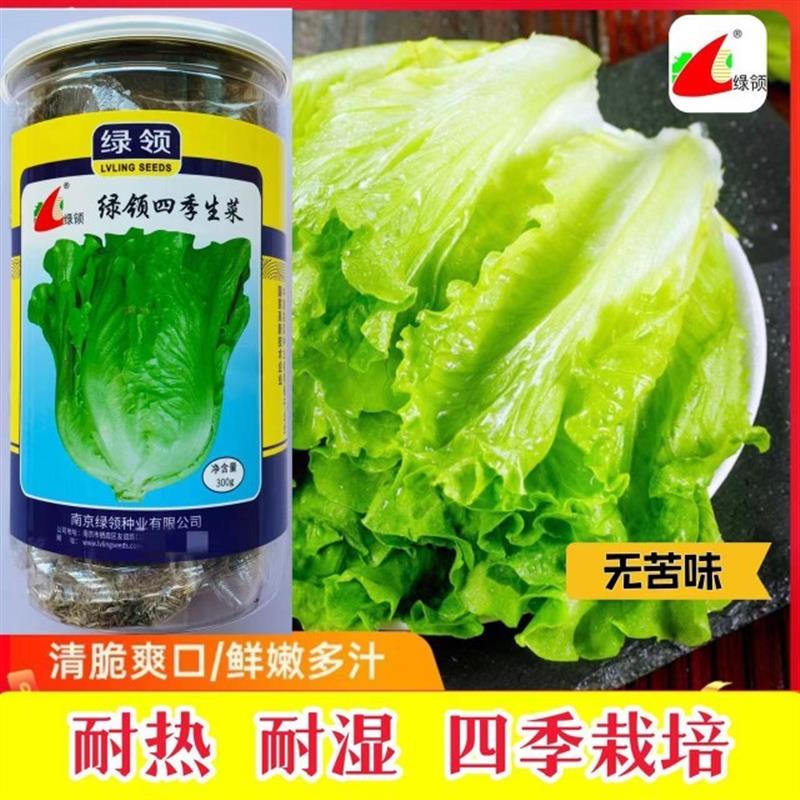 意大利生菜王种子种籽大全四季蔬菜孔雀菜种孑籽种菜籽奶油苗带土