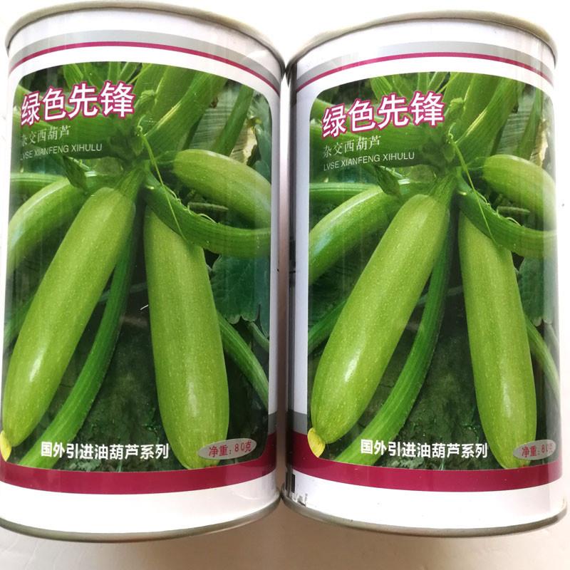 西葫芦种子国外引进新一代杂交肉厚细嫩丰产绿色先锋西葫芦种籽