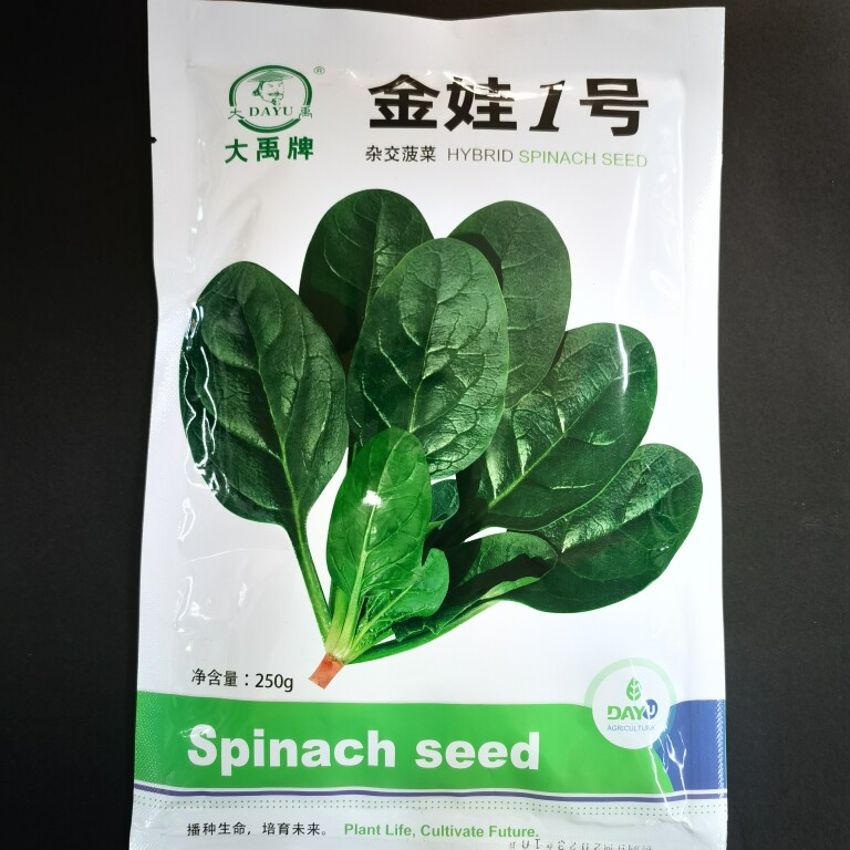 大禹金娃1号小菠菜娃娃菠菜种子叶片墨绿椭圆肥厚易捆扎菠菜种籽