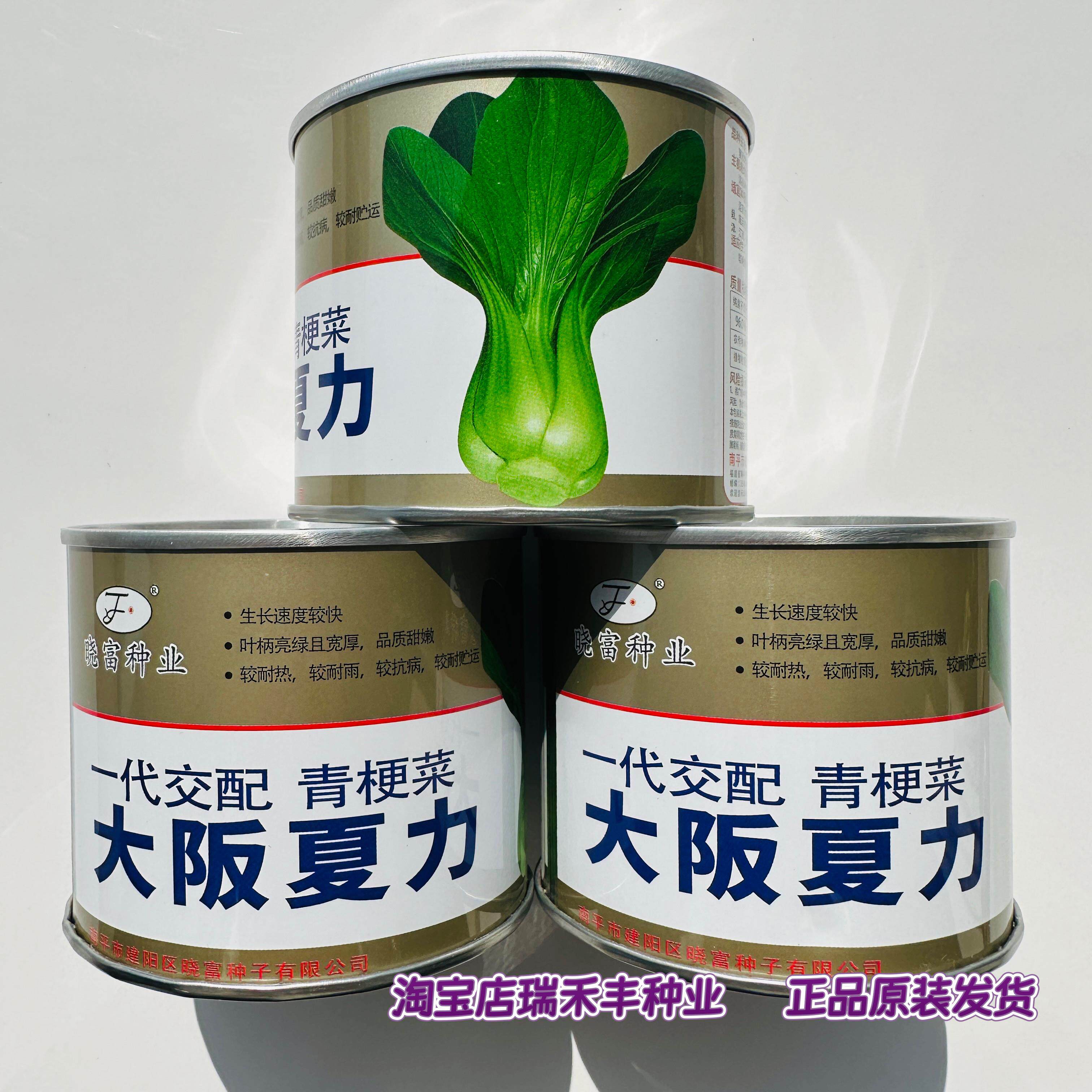 晓富大阪夏力青梗菜种子