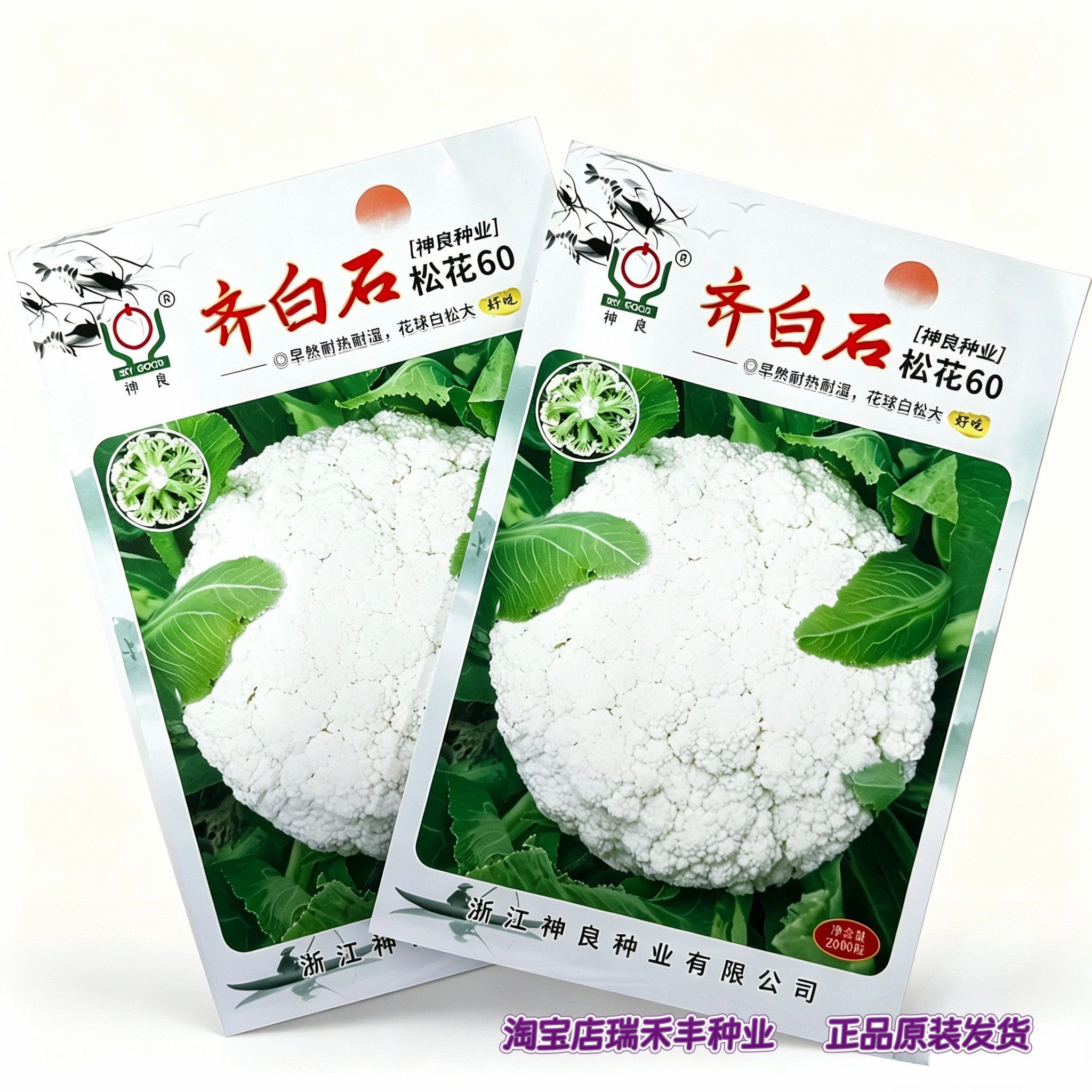 齐白石松花60花菜种子早