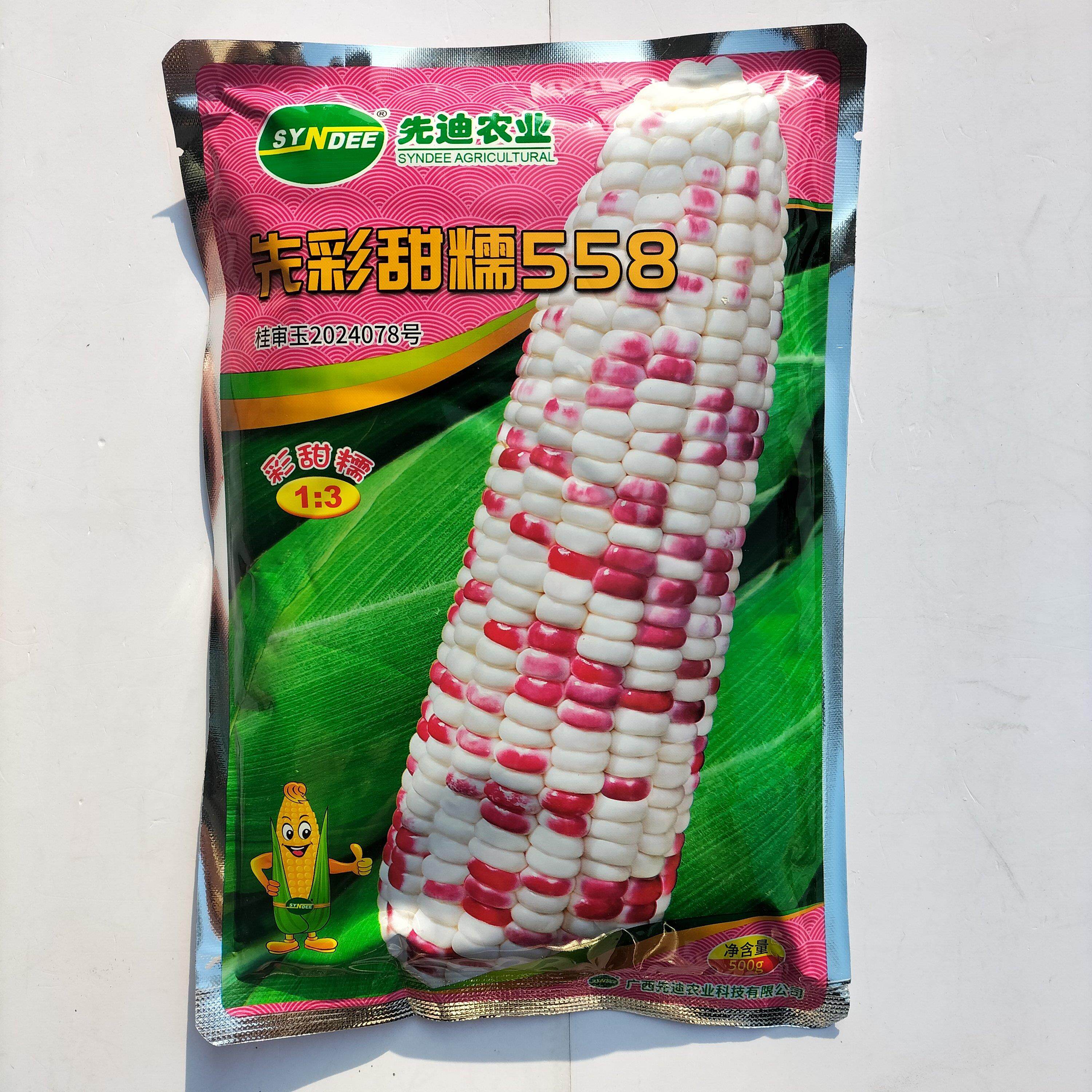 先彩甜糯558玉米种子大棒