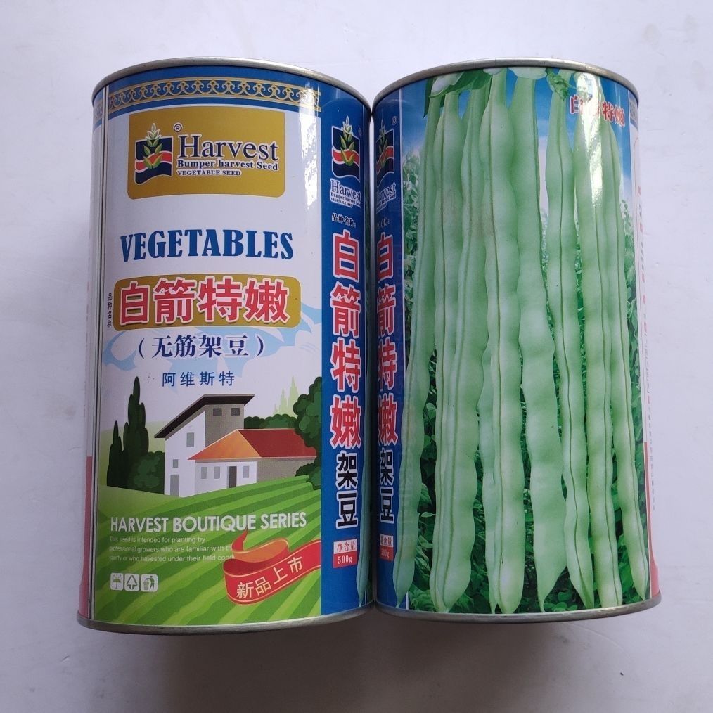 白箭特嫩架豆四季豆种子春秋无筋架豆种子菜豆芸豆种子蔬菜基地