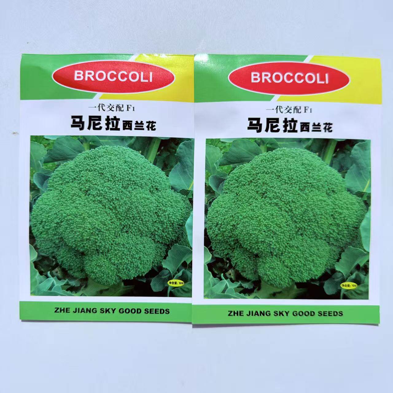 马尼拉西兰花种子耐寒性