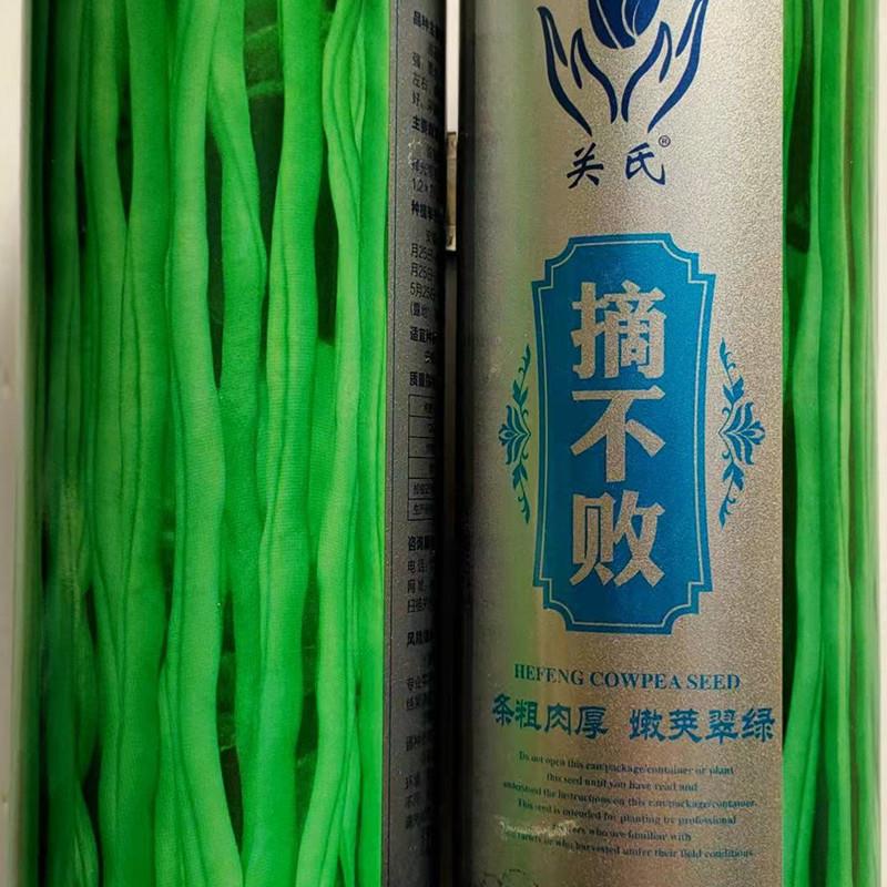 关氏摘不败无筋架豆王种子特长四季豆种子菜豆春季豆角种子籽