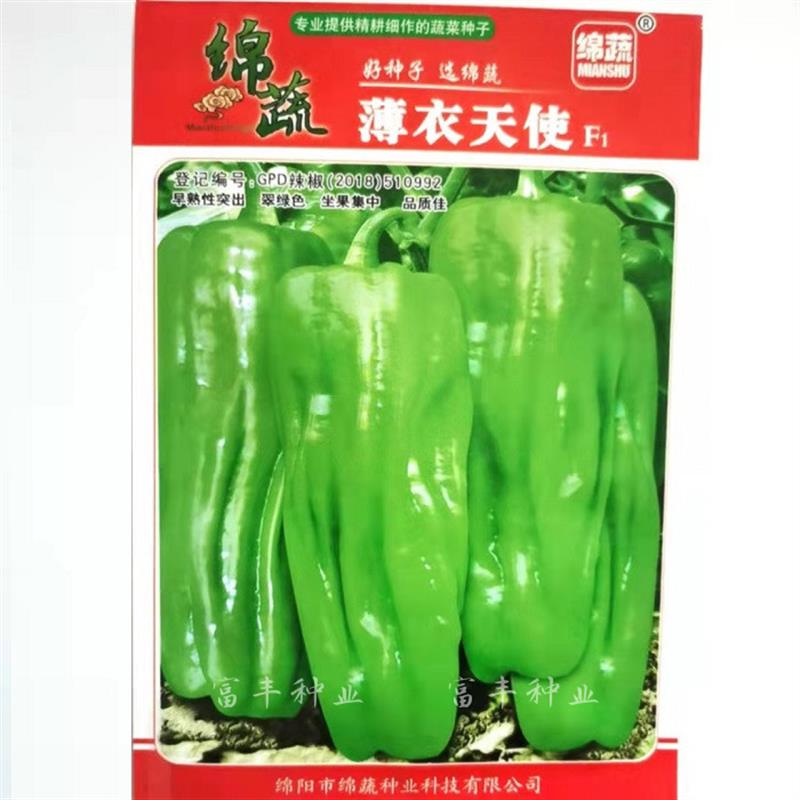 绵蔬薄衣天使辣椒种子早熟皮薄高产抗病长灯笼泡椒青椒种子耐低温