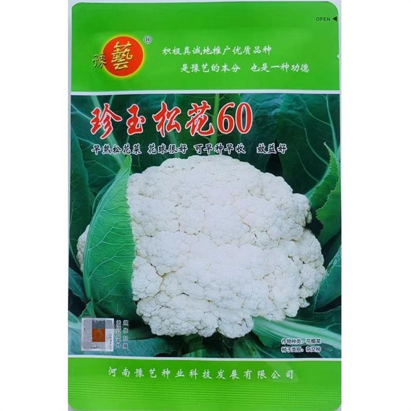珍玉松花60 青梗松花菜种子 耐热有机花椰菜花种子秋季菜花种子