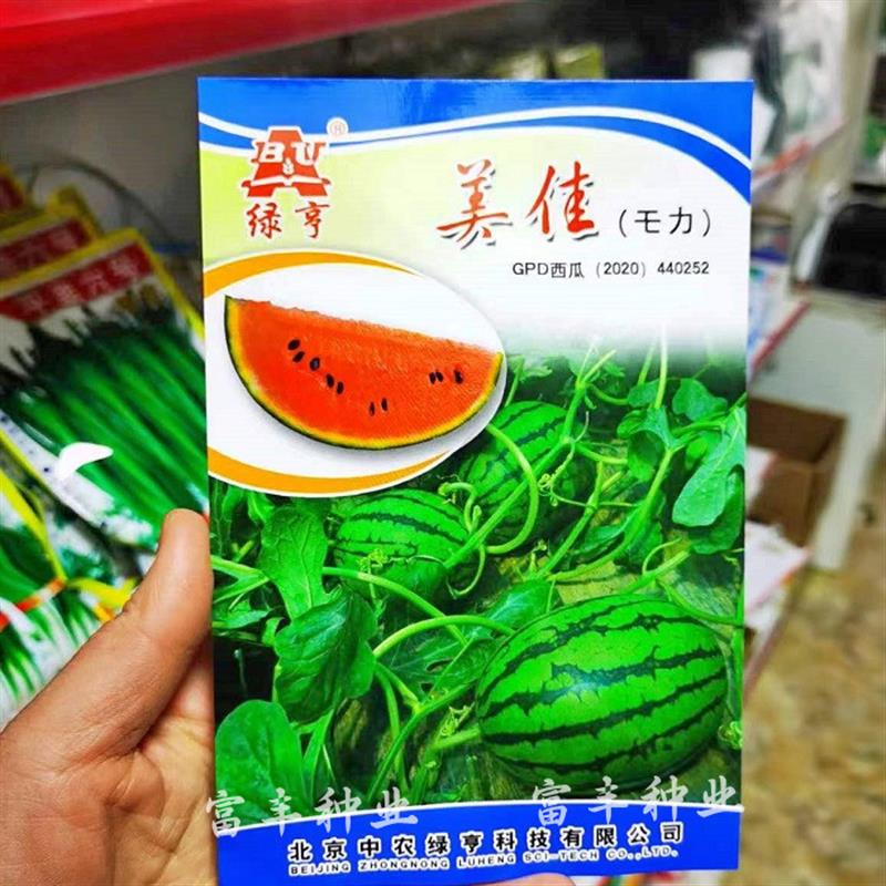 美佳西瓜种子早熟椭圆形礼品小西瓜种籽细腻酥脆薄皮西瓜种籽