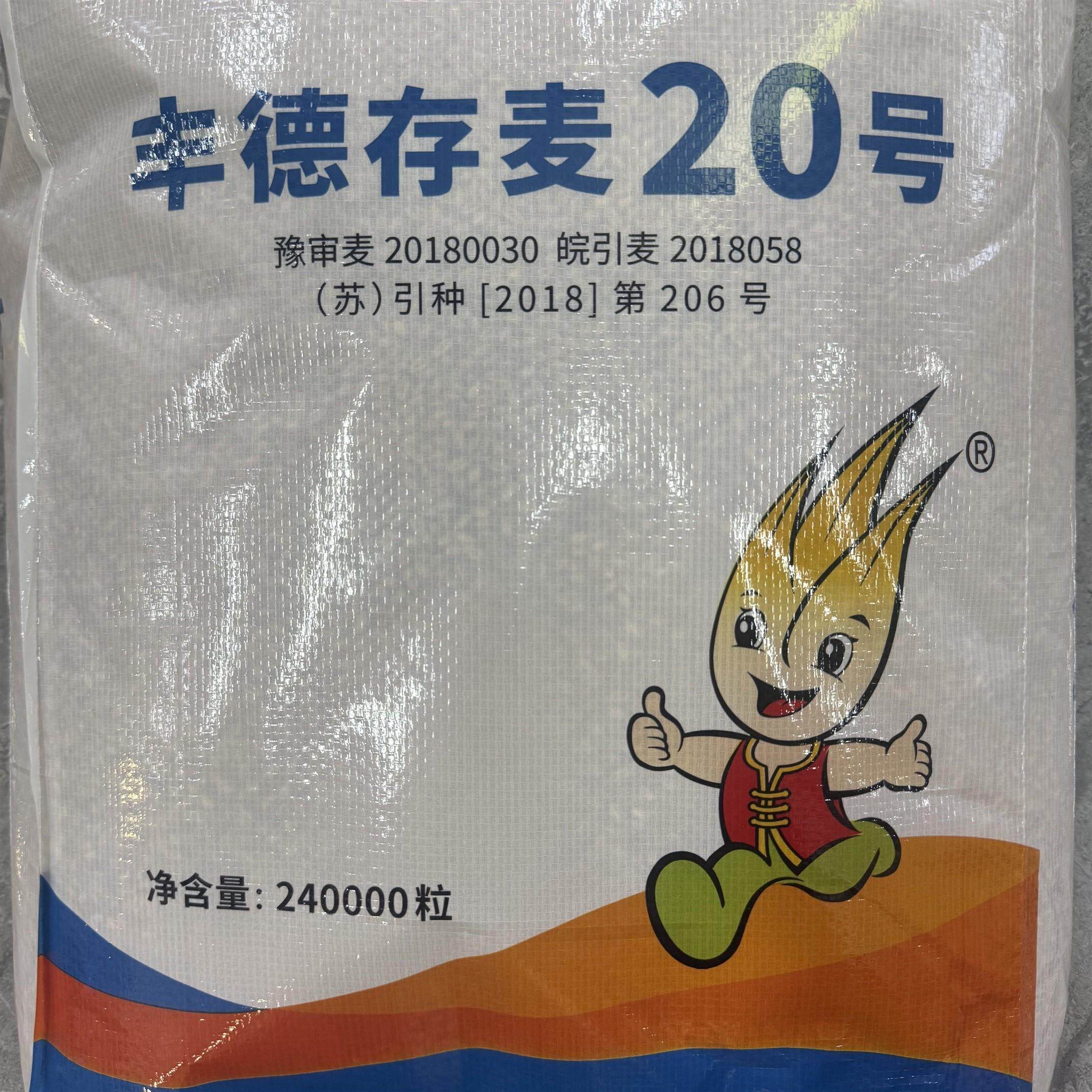 丰德存麦20号小麦种子矮