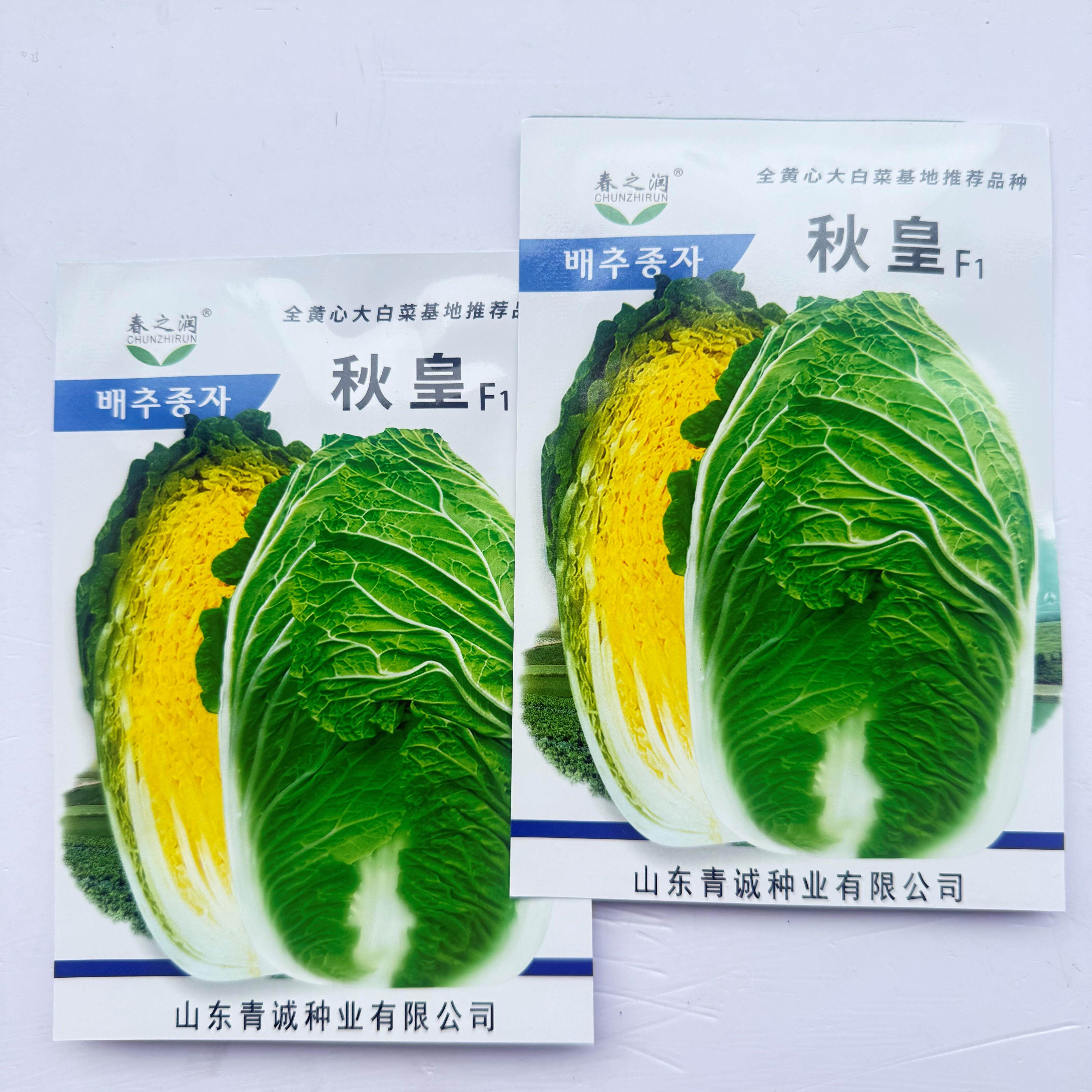 秋皇大白菜种子籽孑结球