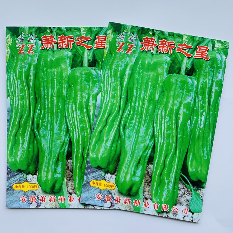 萧新之星辣椒种籽早熟高产耐低温春秋种植薄皮大果青椒灯笼椒种子