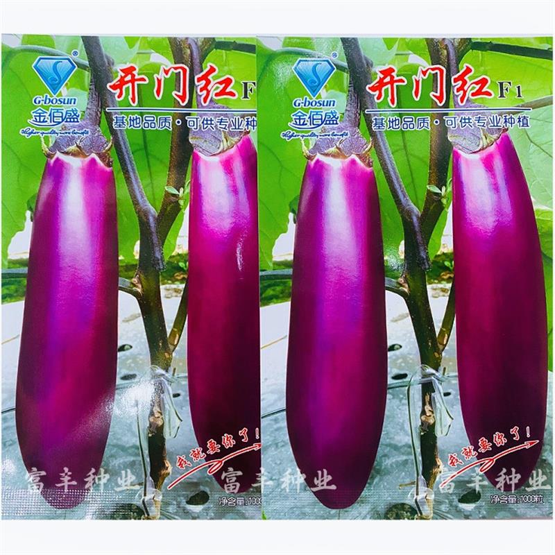 开门红茄子种子紫红粗棒茄子种籽杂交一代早熟抗病丰产春秋季种