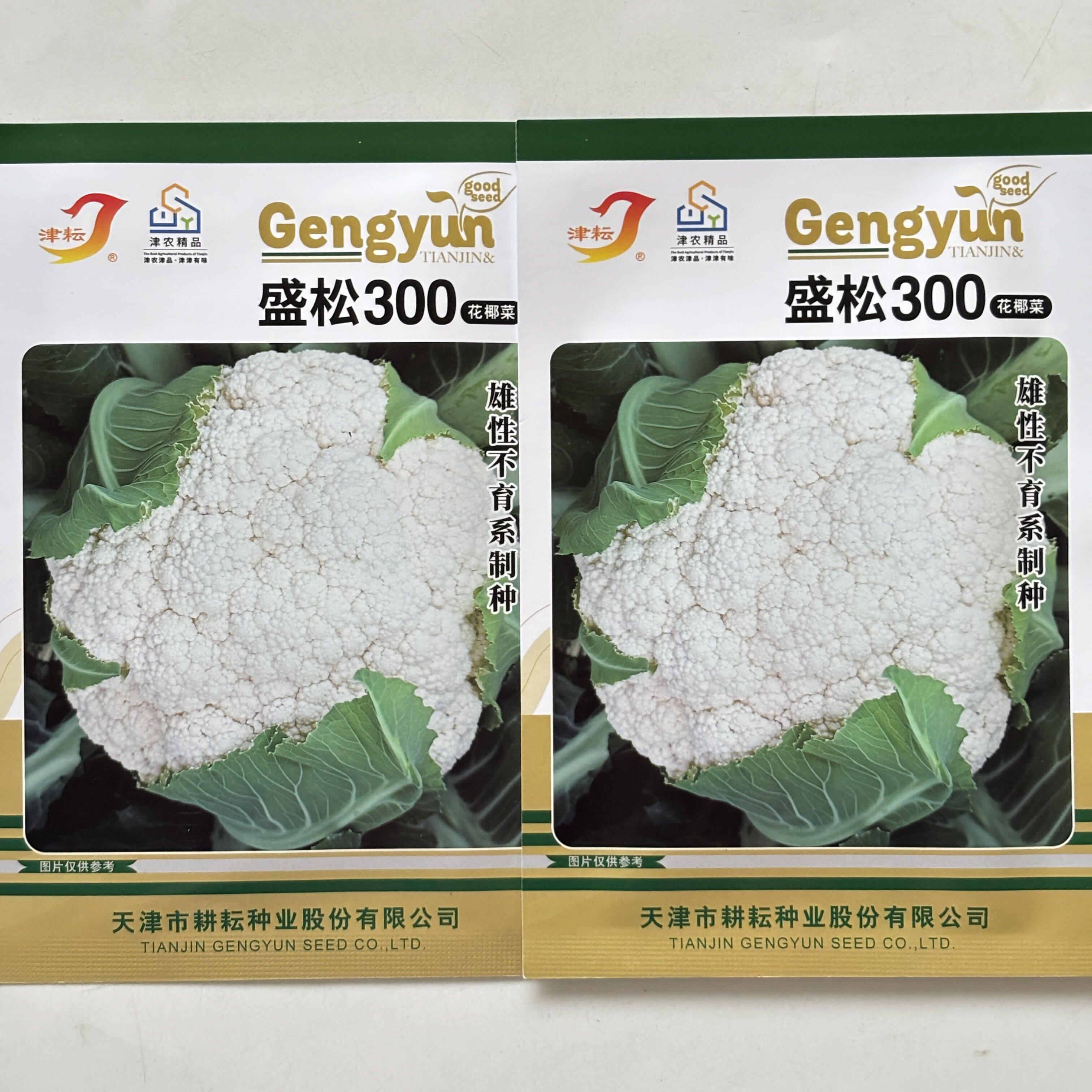 盛松300晚熟松散型花椰菜