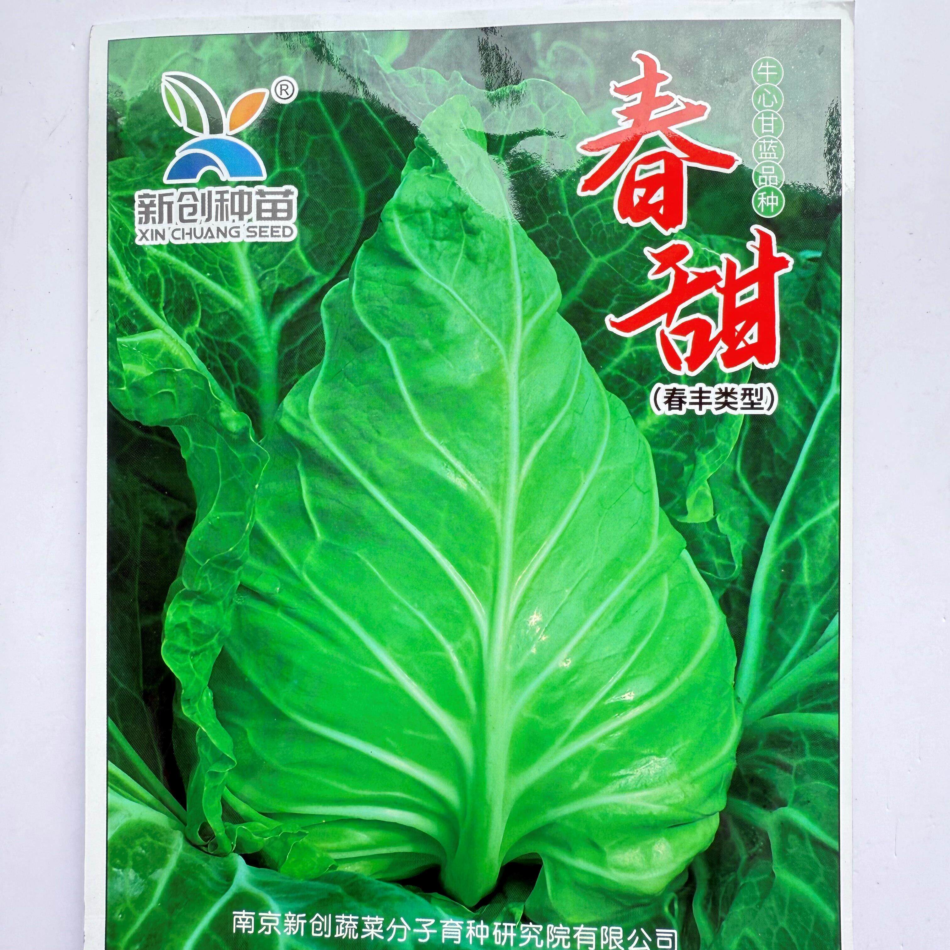 春甜牛心甘蓝种子早熟高
