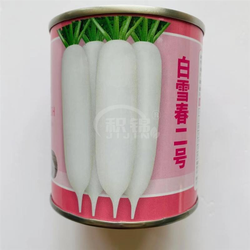 大禹牌白雪春二号白萝卜种子春秋露地栽培早熟不易糠心耐抽苔种籽