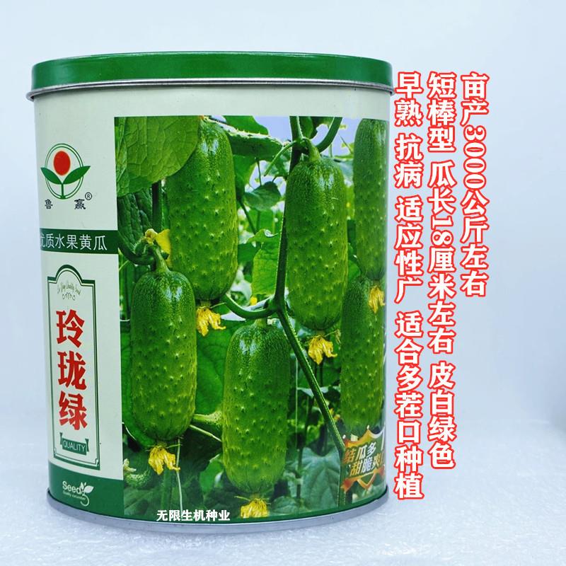 水果黄瓜种子短棒小黄瓜种籽旱黄瓜兔子腿四季播玲珑绿黄瓜种孑籽