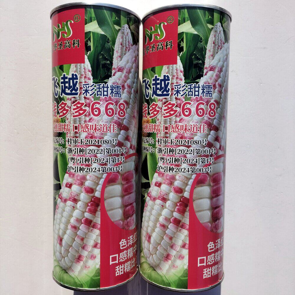 钱多多668彩甜糯玉米种子