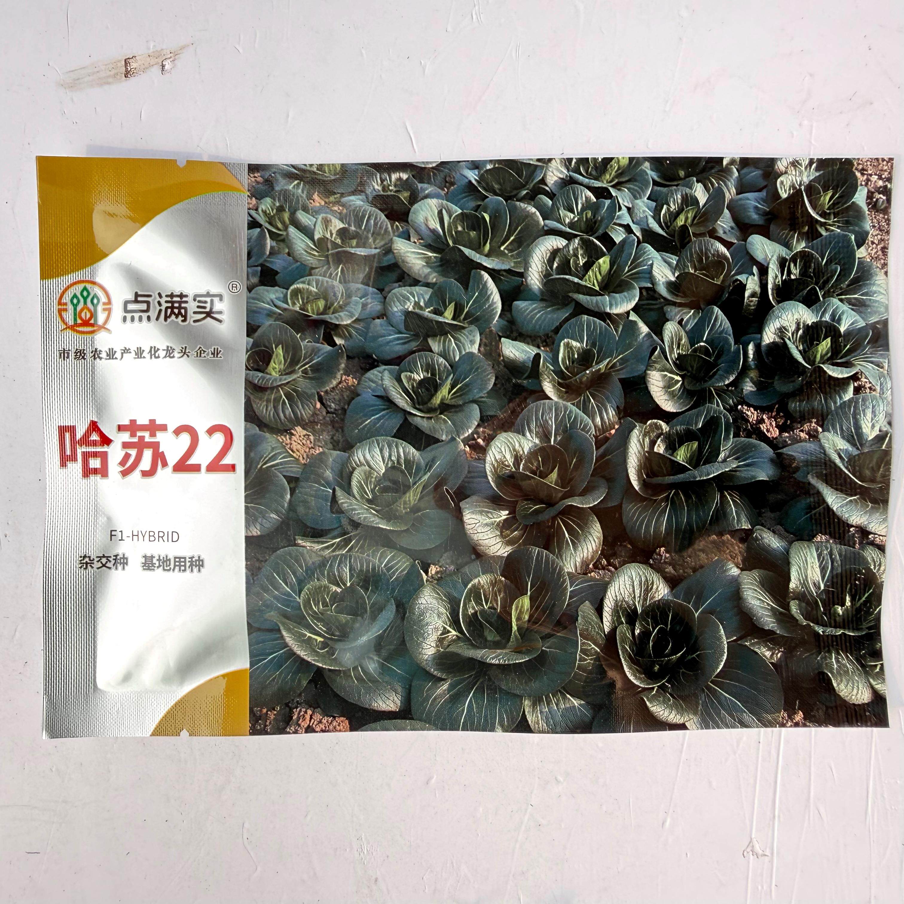 点满实哈苏22黑叶苏州青