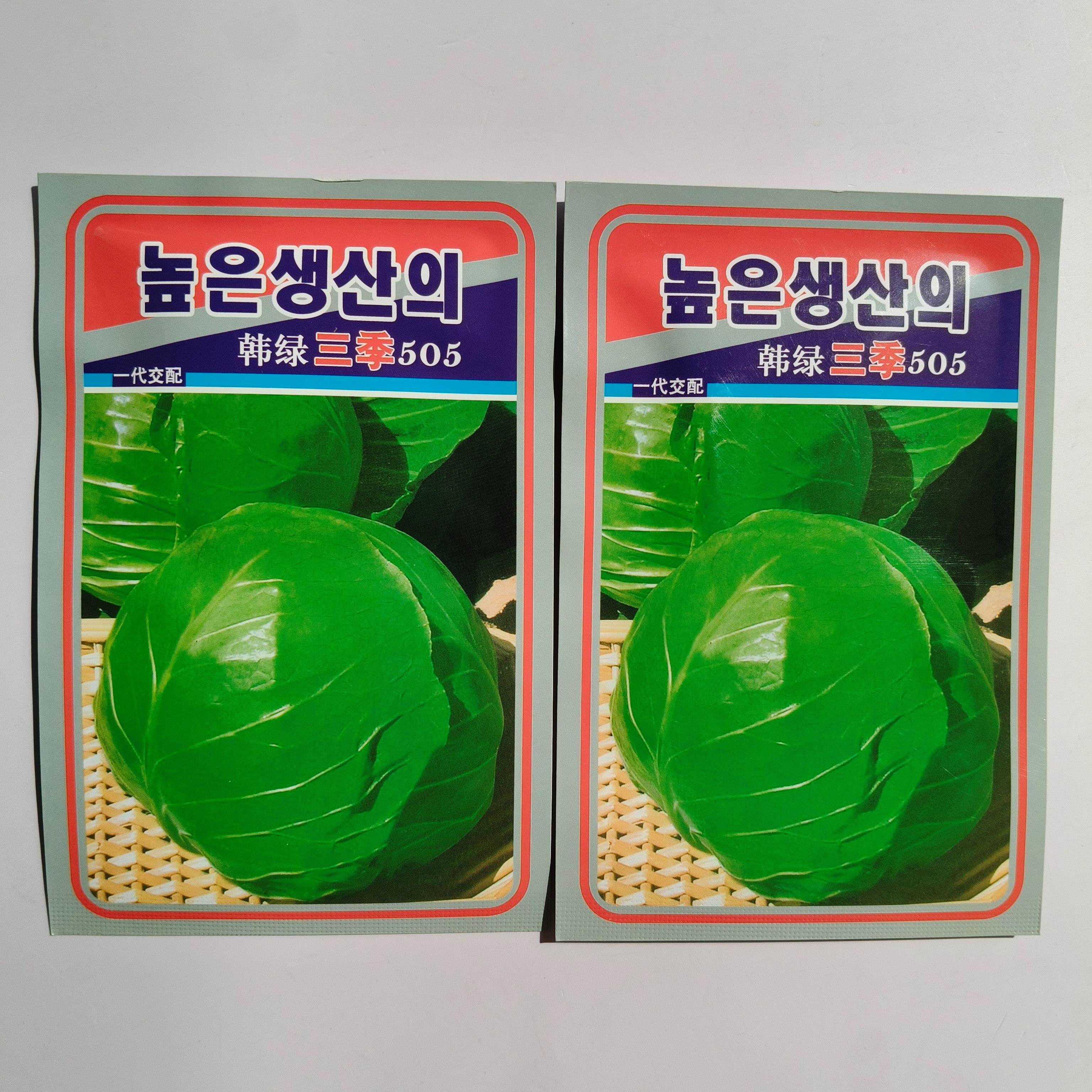 韩绿三季505甘蓝种子春夏