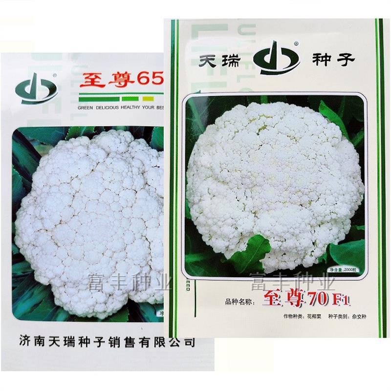 济南天瑞 至尊65 至尊70青梗松花菜种子早熟有机花菜花椰菜种籽