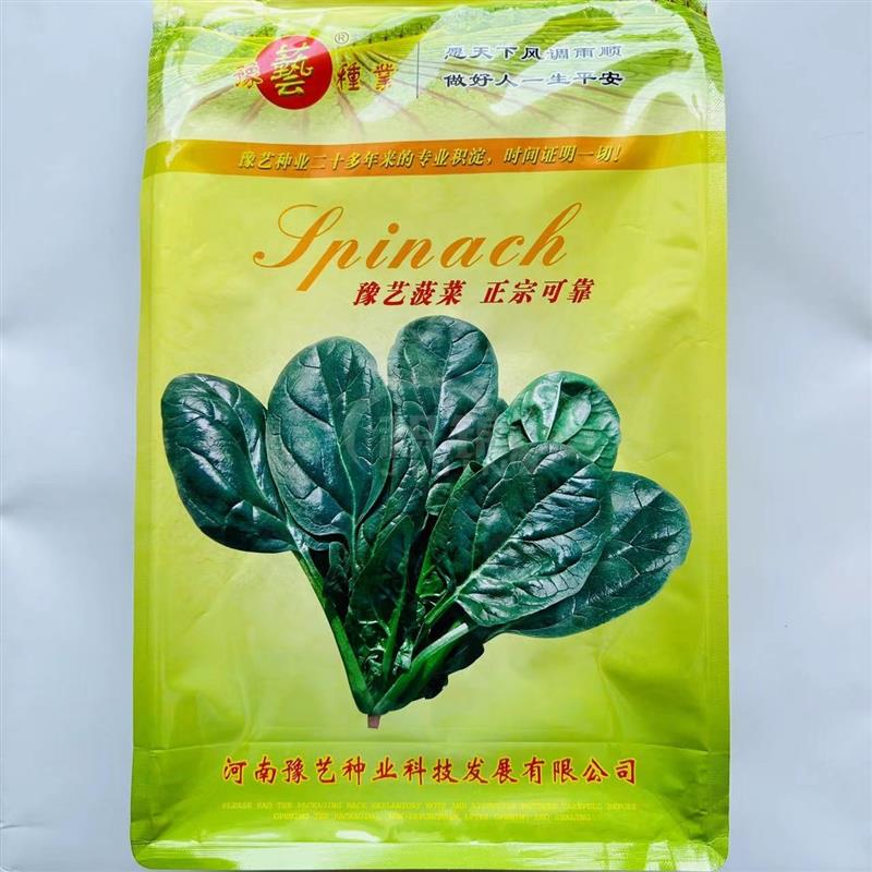 豫艺m32菠菜种子黑绿圆叶高产耐寒抗病商品性佳农家秋季播种精选