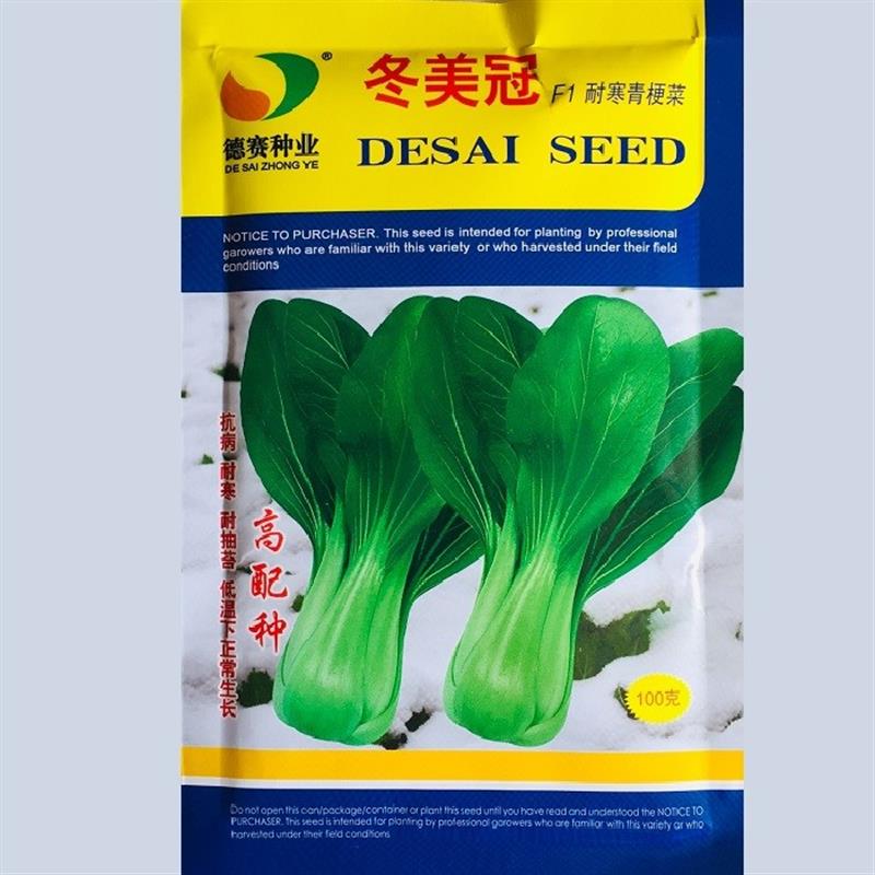 德赛种业冬青王 冬美冠青梗菜种子秋冬耐寒越冬束腰油菜青菜种籽