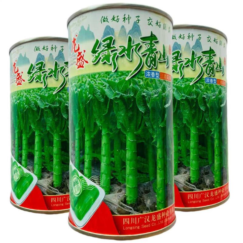 龙盛绿水青山莴笋种子浓香型三青莴苣杂交原装青皮绿肉秋冬种植