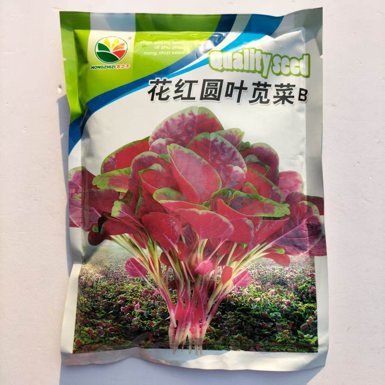 花红圆叶苋菜种子早熟美