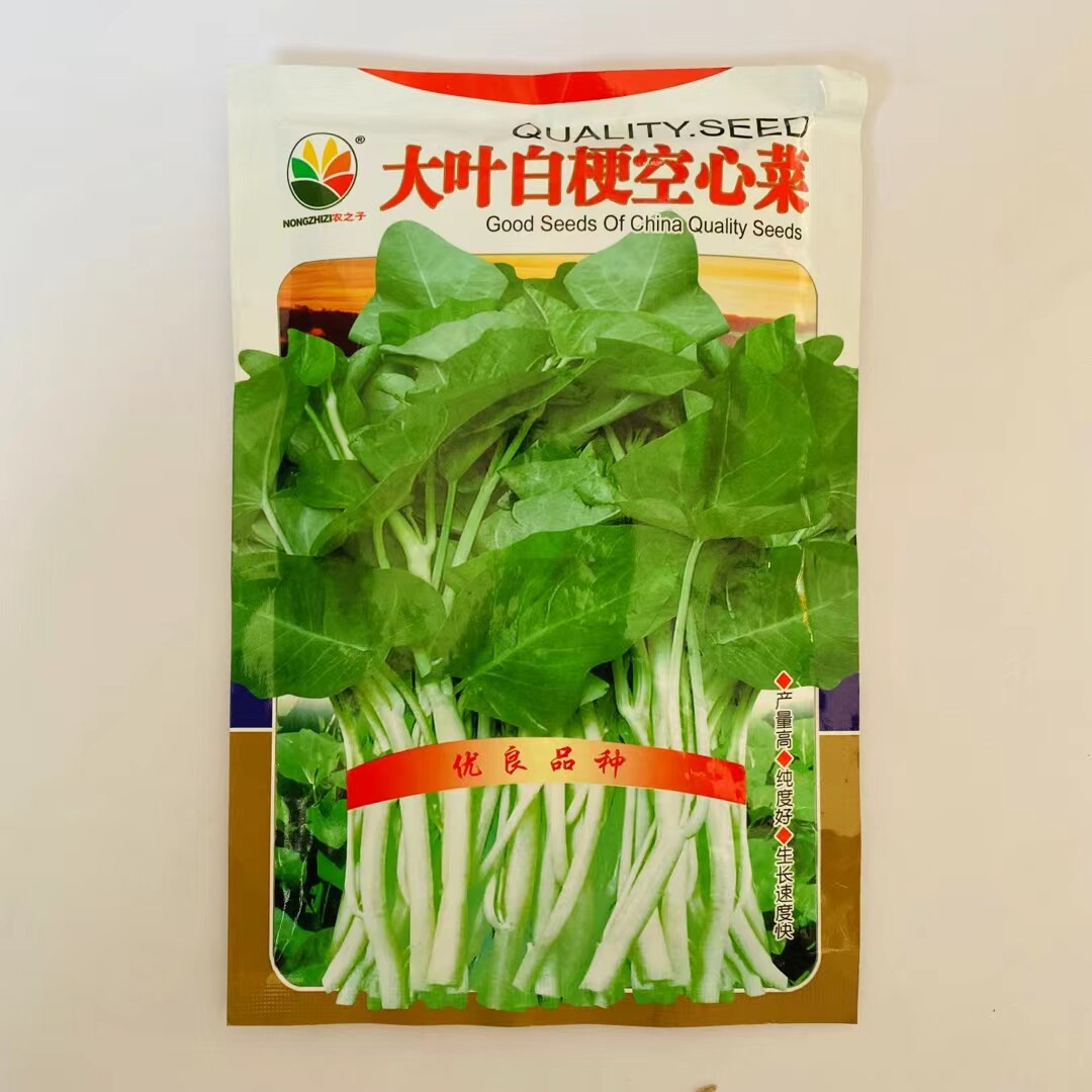 白梗大叶空心菜种子白骨台湾大蕹菜通心菜种子水生蔬菜籽四季种植