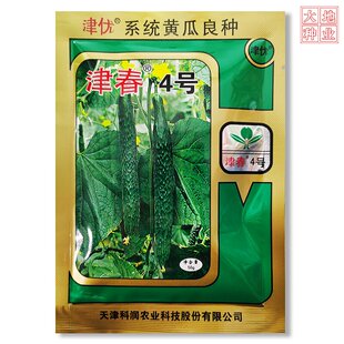 津优津春4号黄瓜种子杂交新品种抗病高产农家露地大棚蔬菜种