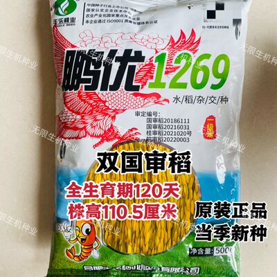 国审杂交水稻种子鹏优126