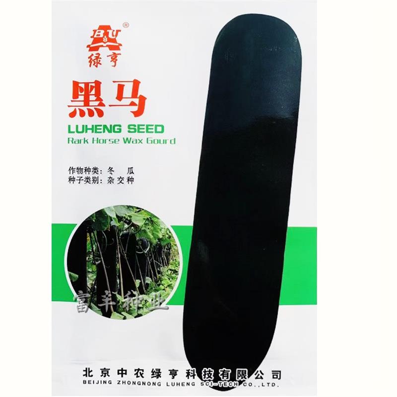 黑马冬瓜种子 黑皮冬瓜种子炮弹型墨绿色冬瓜种子大冬瓜种子200粒