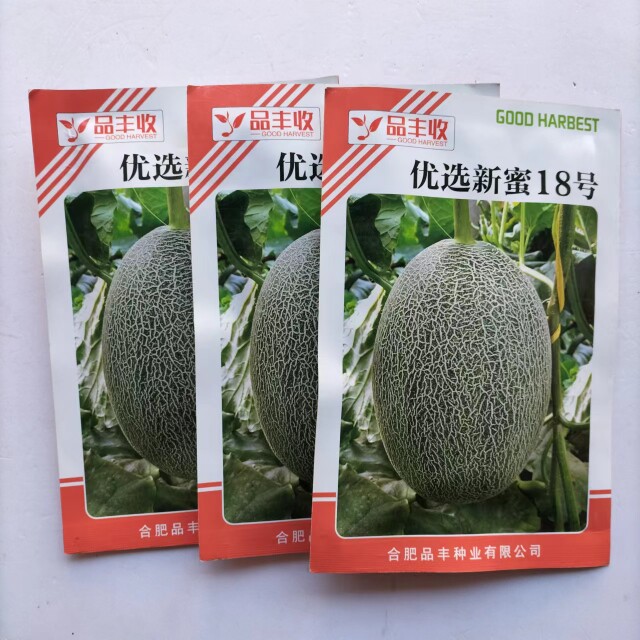 优选新蜜18号哈蜜瓜种籽中熟抗病耐储运肉质细酥脆果香蜜甜瓜种子