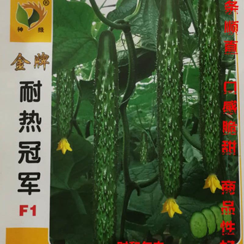 神绿金牌耐热冠军黄瓜种子高产耐热瓜条顺直脆甜农家田园精选种籽