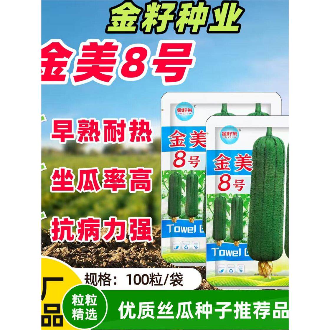 金美8号肉丝瓜种子高产早