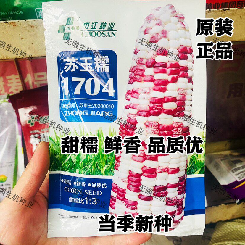 苏玉糯1704玉米种子彩甜
