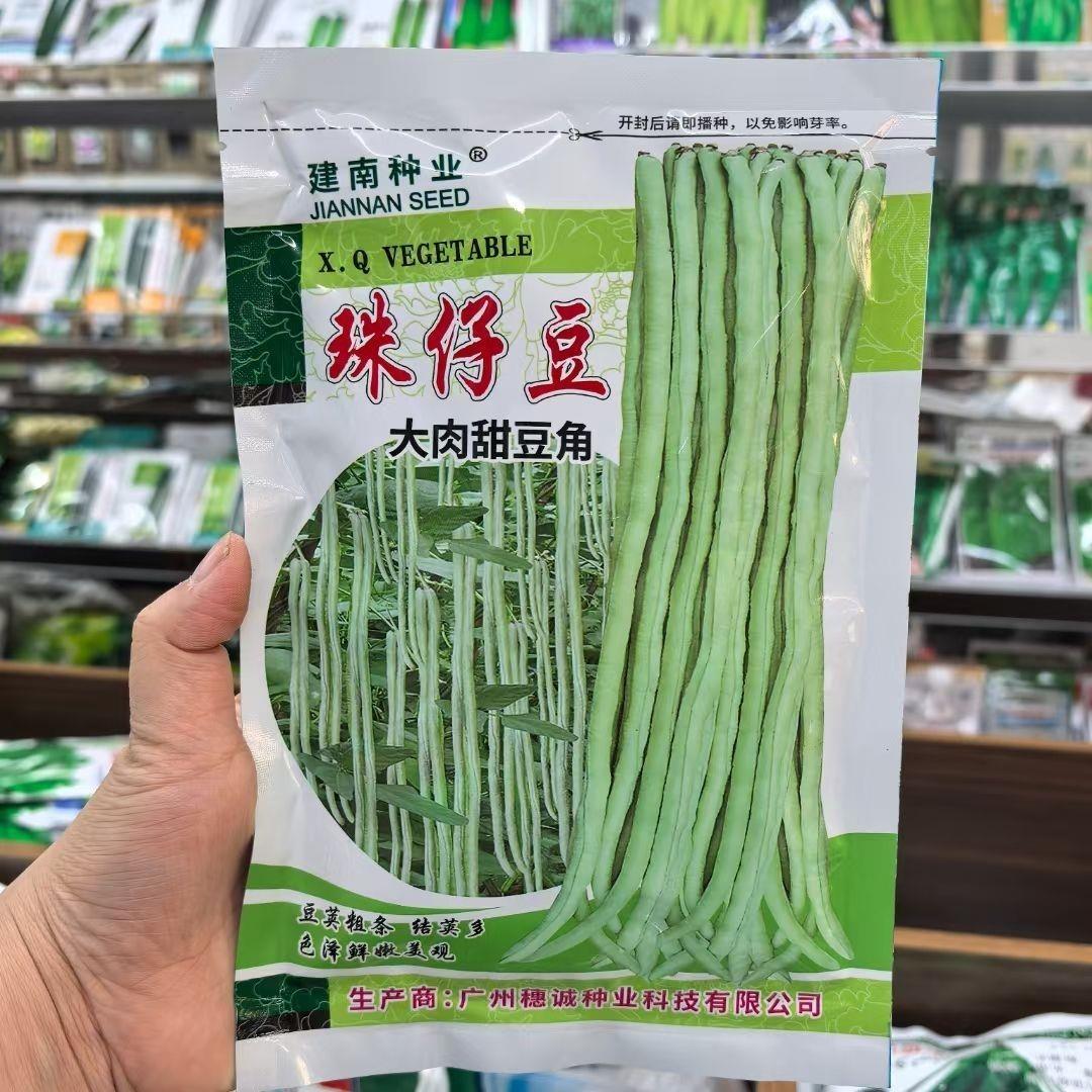 豆角种子猪仔豆大肉甜豆角种籽八月珠仔豆角子种豇豆春秋蔬菜种孑