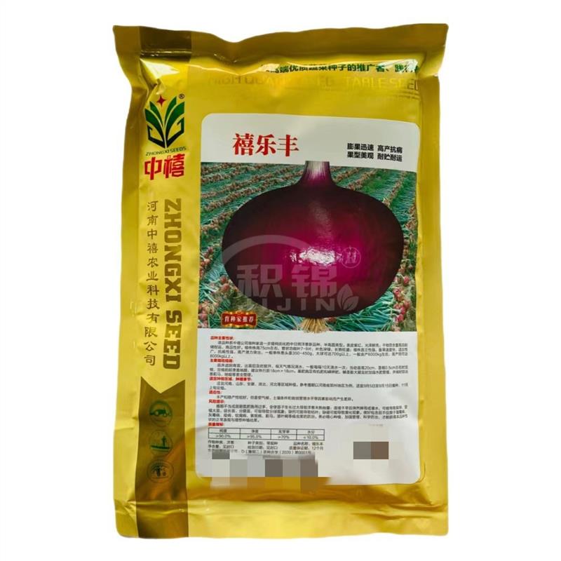禧乐丰洋葱种子高产抗病优质红皮圆葱种籽四季蔬菜种孑农家春秋播