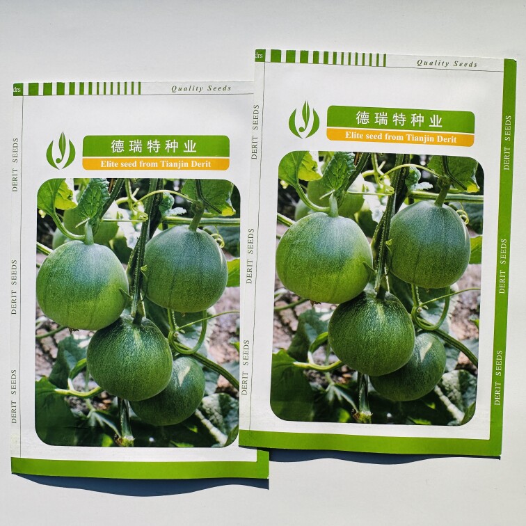 德瑞特种业BY560绿皮甜瓜种子青皮绿肉超甜早熟薄皮抗病耐贮运
