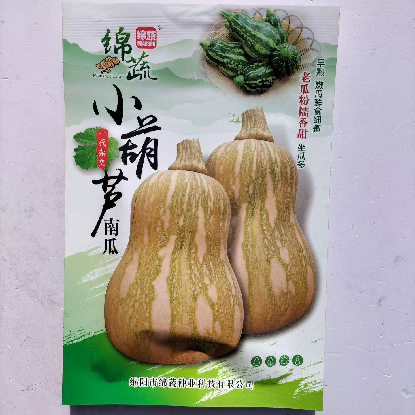 绵蔬小葫芦南瓜种子迷你