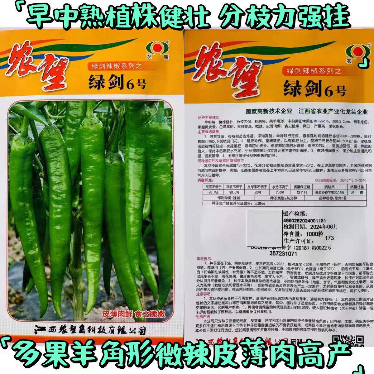 农望绿剑6号辣椒种子早中