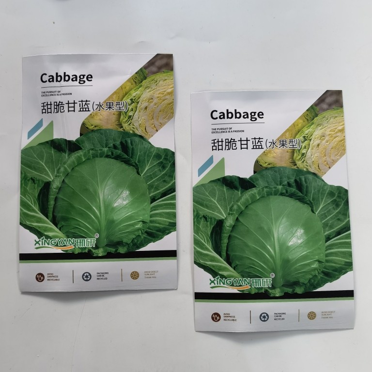 生吃甜脆水果甘蓝种子包菜种籽秋播南方蔬菜大全青菜种孑大头菜